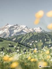 Blumenweg Schonried Hornberg (Rundwanderung)