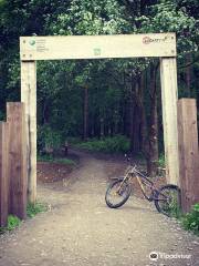 Afan Forest Park Mtb Trails