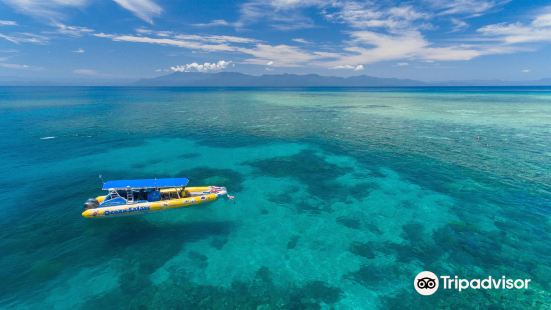 Ocean Safari