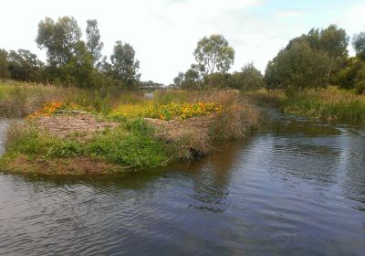 Breakout Creek Wetlands