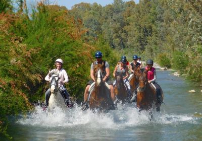 Riding Fun In The Sun