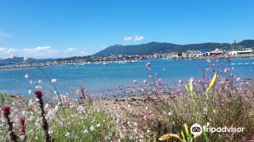 Baie de Txigundi