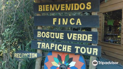 Finca Agroecoturistica