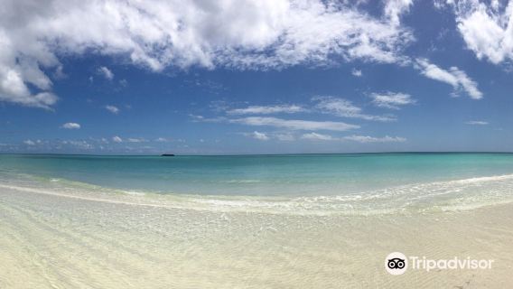 Gold Rock Beach