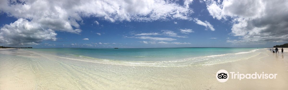 Gold Rock Beach
