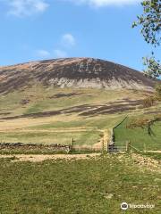 Tinto Hill