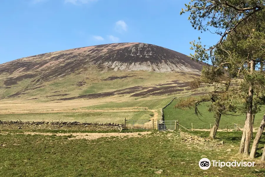 Tinto Hill