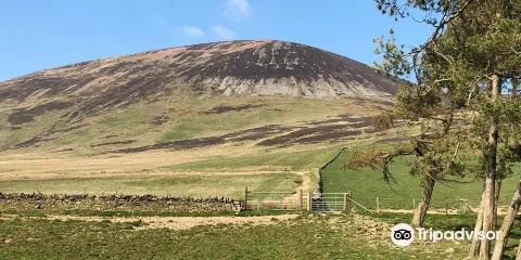 Tinto Hill