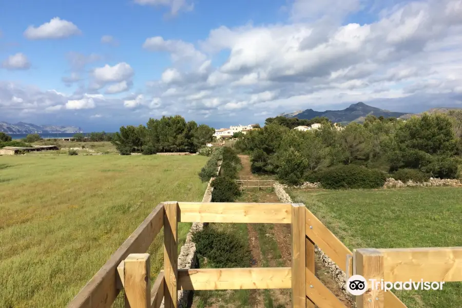 Reserva Natural de s'Albufereta