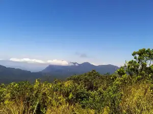 Morro Pão de Ló