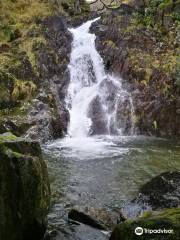 National Trust - Craflwyn and Beddgelert