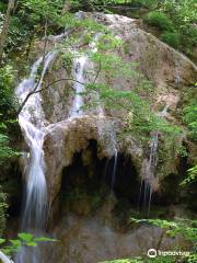 Falls Ridge Preserve
