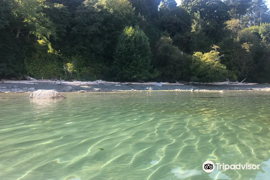 Arbutus Cove Park