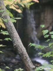 Webwood Falls Nature Reserve