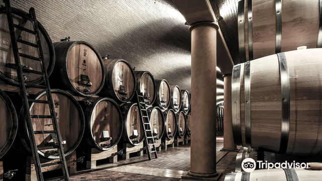 Azienda Vinicola Farina