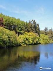 Lake Vyrnwy