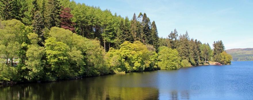 Lake Vyrnwy