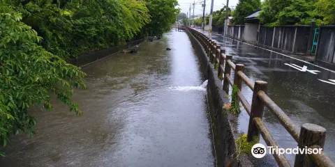沢端川畔