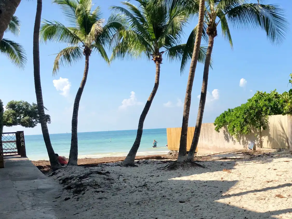 Hotels near Dog Beach