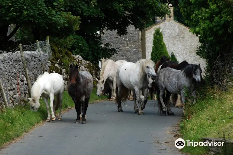 Kilnsey Trekking & Riding Centre