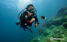 Cham Island Diving