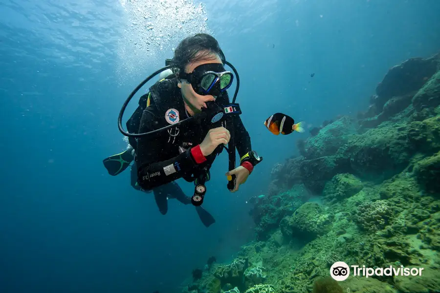 Cham Island Diving