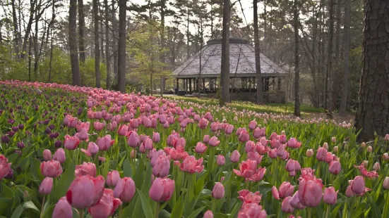 Garvan Woodland Gardens