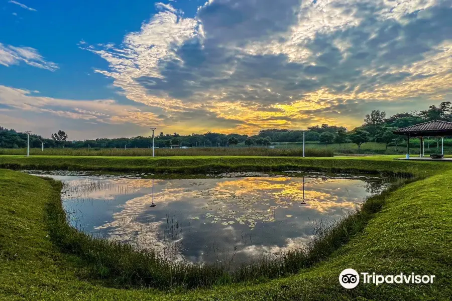 Lorong Halus Wetland