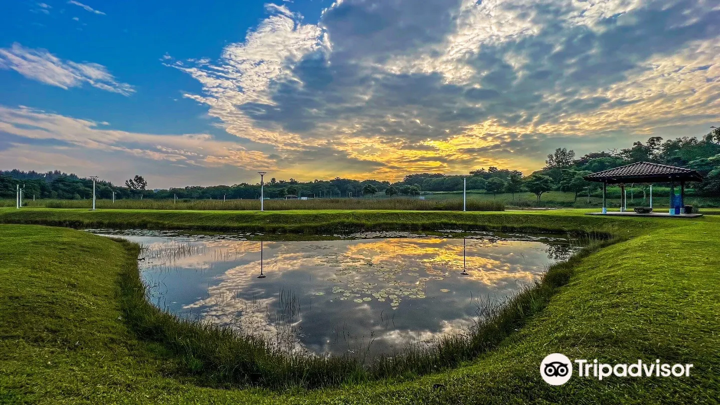 2_Lorong Halus Wetland
