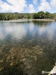 Lagoa Verde / Lagoa das Sete Cidades