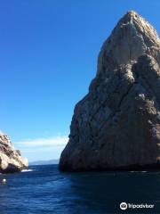 Diving Center La Sirena, BUCEO SNORKEL Medas Islands (Spain)