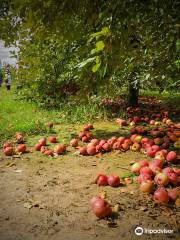 Johnston Fruit Farms