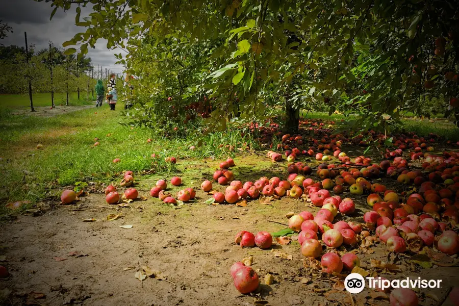 Johnston Fruit Farms