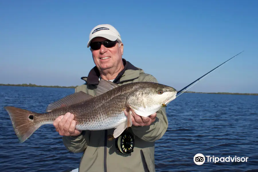 On The Spot Inshore Fishing Charters