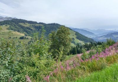 Col de l’Arpettaz