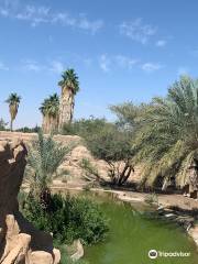 Al Ain Zoo