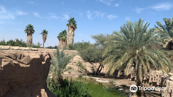 Al Ain Zoo
