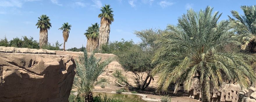 Al Ain Zoo
