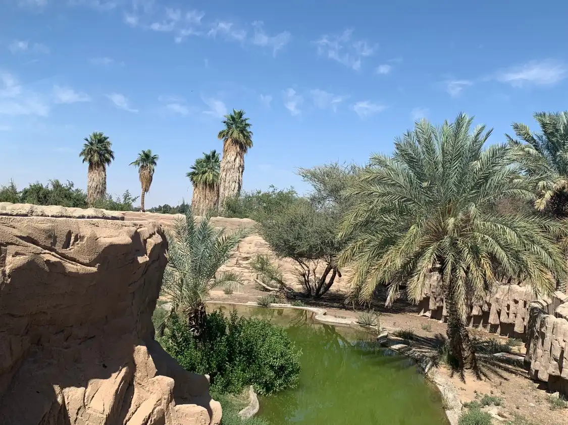 Hotels near Al Ain Zoo
