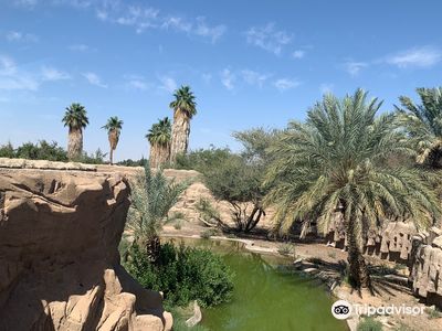 Al Ain Zoo
