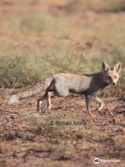 Jorbeer Conservation Reserve