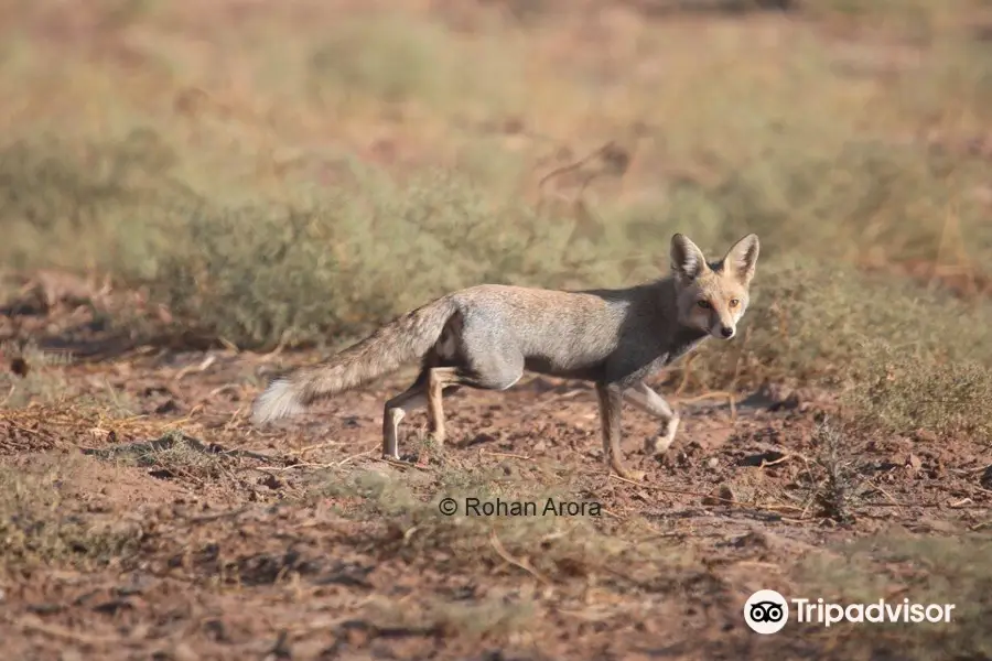 Jorbeer Conservation Reserve