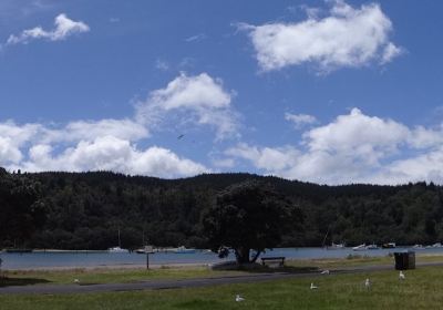 Whangamata Beach