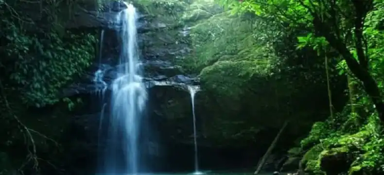 Hoteles en Florencia