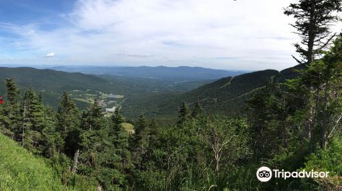 Mount Mansfield