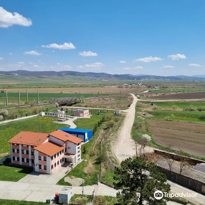 3_Feldioara Fortress