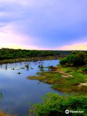 Okavango River
