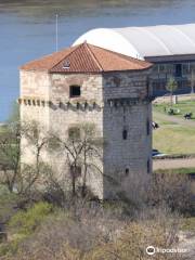 Nebojša tower