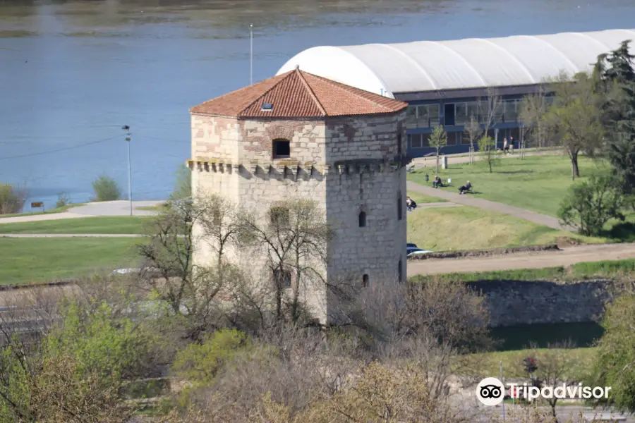 Nebojsa Tower