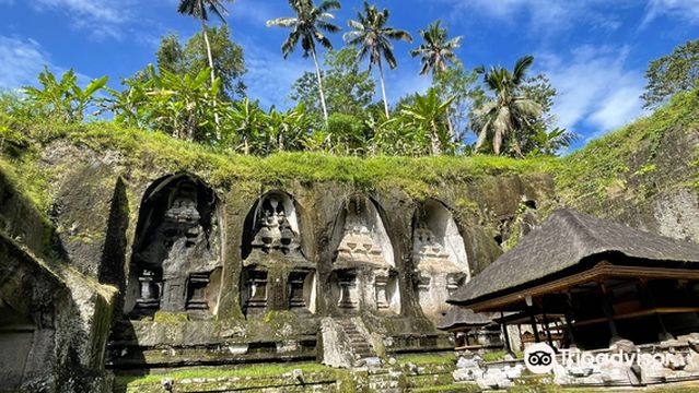 Bali Eco Tours